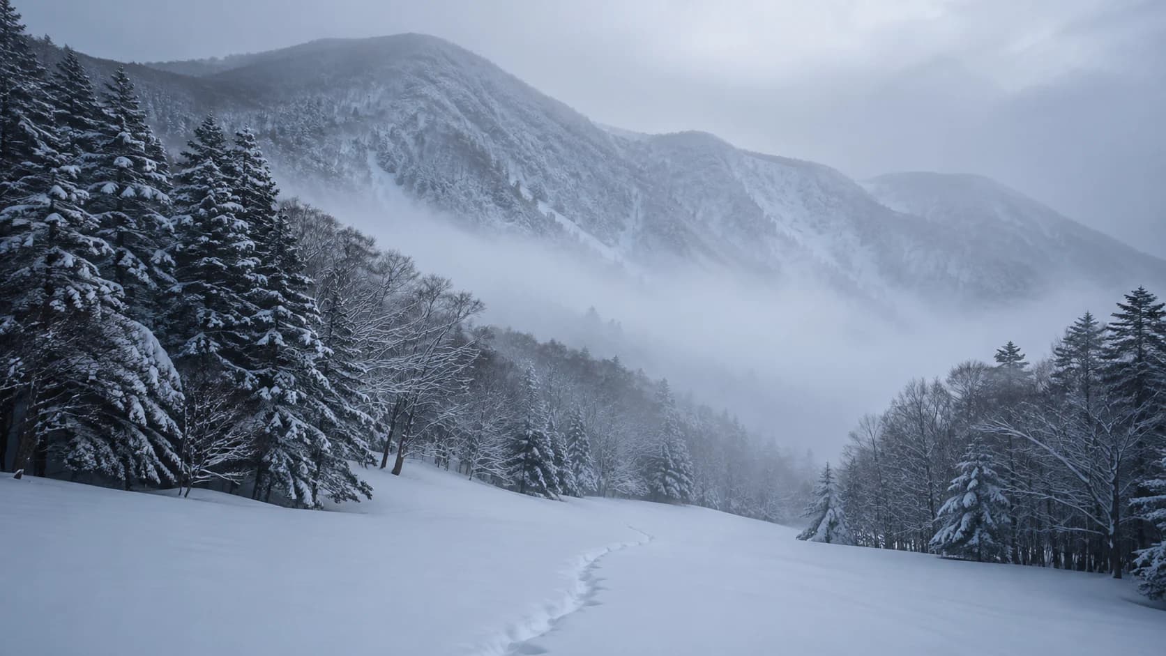 A trail through the winter landscape of a mountain forest